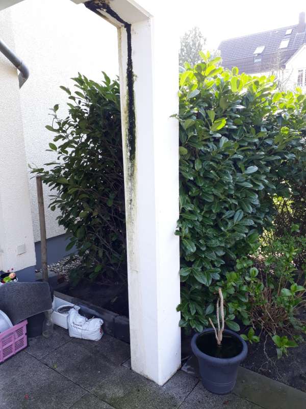 BAU.DE / BAU-Forum: 2. Bild zu Frage "Rostwasser/Algenwasser aus Terrassenpfeiler: Ursachen, Gefahren & Sanierungskosten?" im BAU-Forum "Außenwände und Fassaden" BAU.DE / BAU-Forum: 2. Bild zu Frage "Rostwasser/Algenwasser aus Terrassenpfeiler: Ursachen, Gefahren & Sanierungskosten?" im BAU-Forum "Außenwände und Fassaden"