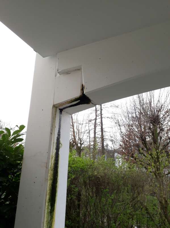 BAU.DE / BAU-Forum: 3. Bild zu Frage "Rostwasser/Algenwasser aus Terrassenpfeiler: Ursachen, Gefahren & Sanierungskosten?" im BAU-Forum "Außenwände und Fassaden" BAU.DE / BAU-Forum: 3. Bild zu Frage "Rostwasser/Algenwasser aus Terrassenpfeiler: Ursachen, Gefahren & Sanierungskosten?" im BAU-Forum "Außenwände und Fassaden"