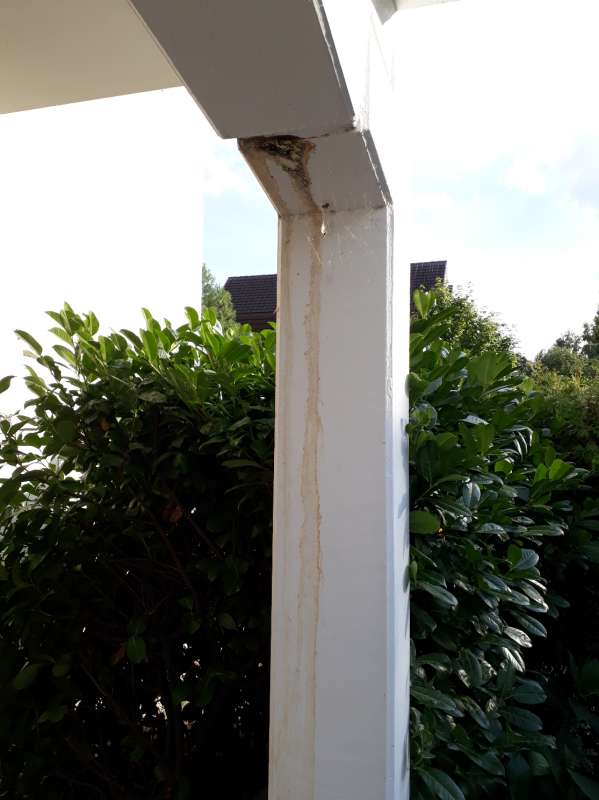 BAU.DE / BAU-Forum: 4. Bild zu Frage "Rostwasser/Algenwasser aus Terrassenpfeiler: Ursachen, Gefahren & Sanierungskosten?" im BAU-Forum "Außenwände und Fassaden" BAU.DE / BAU-Forum: 4. Bild zu Frage "Rostwasser/Algenwasser aus Terrassenpfeiler: Ursachen, Gefahren & Sanierungskosten?" im BAU-Forum "Außenwände und Fassaden"