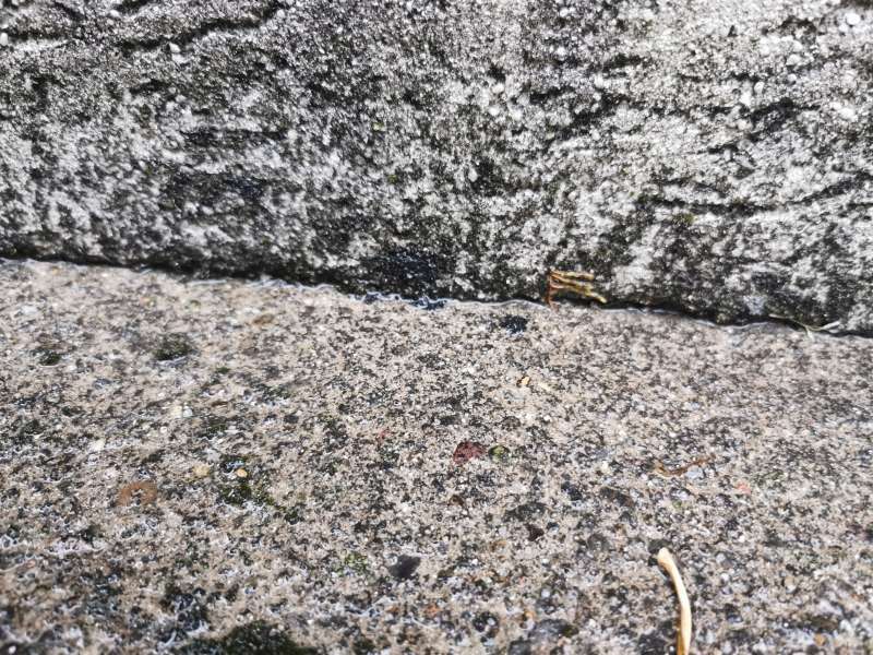 BAU.DE / BAU-Forum: 2. Bild zu Frage "Regenwasserableitung Hauswand: Maßnahmen, Kosten & Dachvorsprung verlängern?" im BAU-Forum "Außenwände und Fassaden" BAU.DE / BAU-Forum: 2. Bild zu Frage "Regenwasserableitung Hauswand: Maßnahmen, Kosten & Dachvorsprung verlängern?" im BAU-Forum "Außenwände und Fassaden"