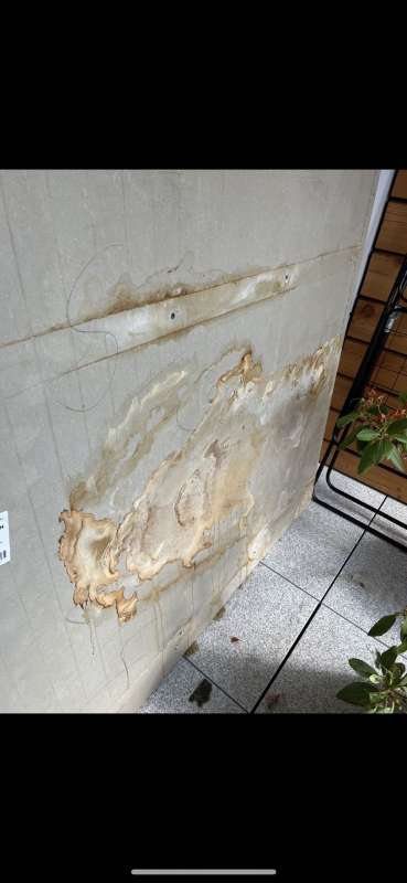 BAU.DE / BAU-Forum: 1. Bild zu Antwort "Wasserschaden Fassade" auf die Frage "Wasserschaden Fassade: Ursachen, Trocknung, Reparatur & Kosten für Eigentümer?" im BAU-Forum "Außenwände und Fassaden" BAU.DE / BAU-Forum: 1. Bild zu Antwort "Wasserschaden Fassade" auf die Frage "Wasserschaden Fassade: Ursachen, Trocknung, Reparatur & Kosten für Eigentümer?" im BAU-Forum "Außenwände und Fassaden"