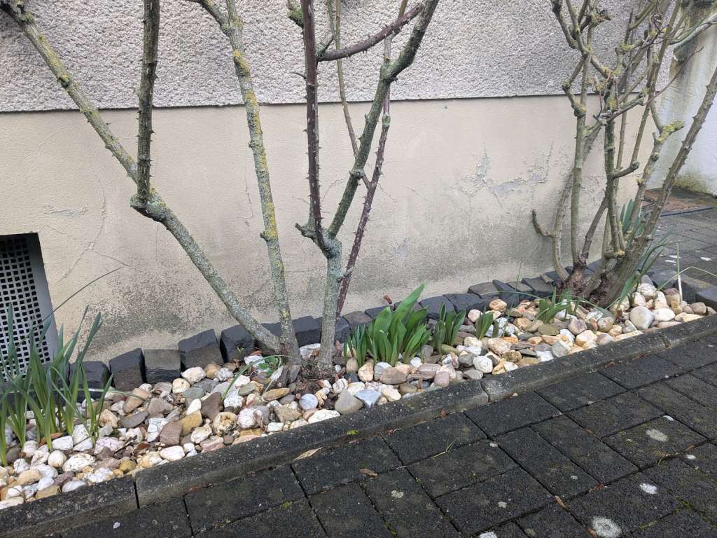 BAU.DE / BAU-Forum: 2. Bild zu Frage "Wer kontrolliert alte DIN Normen in NRW?" im BAU-Forum "Außenwände und Fassaden" BAU.DE / BAU-Forum: 2. Bild zu Frage "Wer kontrolliert alte DIN Normen in NRW?" im BAU-Forum "Außenwände und Fassaden"