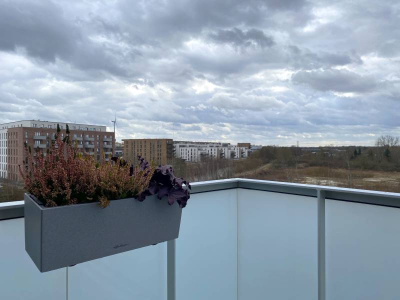BAU.DE / BAU-Forum: 1. Bild zu Frage "Pflanzgefäß an geschlossenem Balkon befestigen: Glasklemmen, Textilband & Alternativen?" im BAU-Forum "Balkon und Terrasse" BAU.DE / BAU-Forum: 1. Bild zu Frage "Pflanzgefäß an geschlossenem Balkon befestigen: Glasklemmen, Textilband & Alternativen?" im BAU-Forum "Balkon und Terrasse"