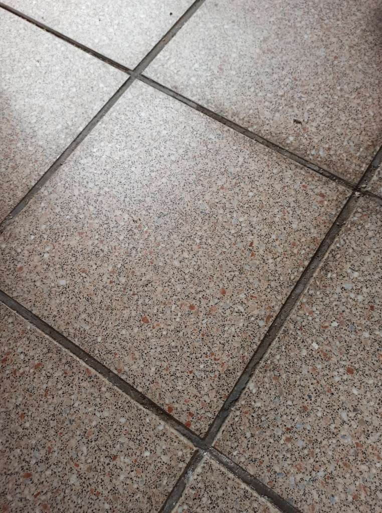 BAU.DE / BAU-Forum: 2. Bild zu Antwort "Terrassen-Belag: Fotos des aktuellen Zustands" auf die Frage "Terrasse neu belegen: Kosten, Aufbauhöhe & geeignete Beläge auf alten Platten?" im BAU-Forum "Balkon und Terrasse" BAU.DE / BAU-Forum: 2. Bild zu Antwort "Terrassen-Belag: Fotos des aktuellen Zustands" auf die Frage "Terrasse neu belegen: Kosten, Aufbauhöhe & geeignete Beläge auf alten Platten?" im BAU-Forum "Balkon und Terrasse"