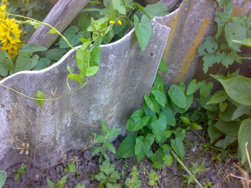 BAU.DE / BAU-Forum: 1. Bild zu Frage "Asbestplatten im Garten erkennen: Wie gefährlich? Test, Entsorgung & Kosten?" im BAU-Forum "Baustoffe" BAU.DE / BAU-Forum: 1. Bild zu Frage "Asbestplatten im Garten erkennen: Wie gefährlich? Test, Entsorgung & Kosten?" im BAU-Forum "Baustoffe"