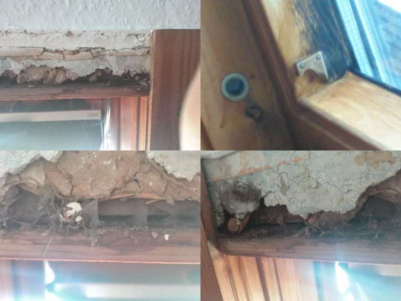 BAU.DE / BAU-Forum: 1. Bild zu Frage "Asbest, Schimmel, Hausschwamm erkennen: Gesundheitsrisiken im Altbau? Maßnahmen & Hilfe" im BAU-Forum "Baustoffe" BAU.DE / BAU-Forum: 1. Bild zu Frage "Asbest, Schimmel, Hausschwamm erkennen: Gesundheitsrisiken im Altbau? Maßnahmen & Hilfe" im BAU-Forum "Baustoffe"