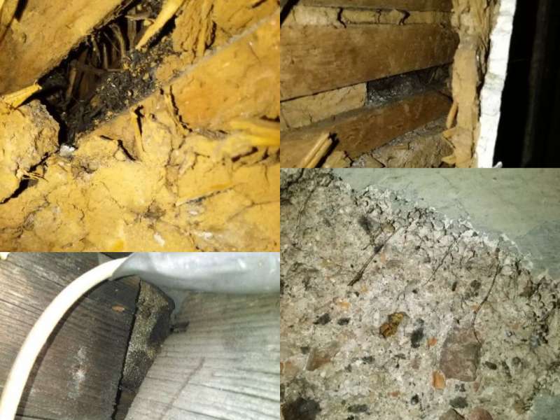 BAU.DE / BAU-Forum: 3. Bild zu Frage "Asbest, Schimmel, Hausschwamm erkennen: Gesundheitsrisiken im Altbau? Maßnahmen & Hilfe" im BAU-Forum "Baustoffe" BAU.DE / BAU-Forum: 3. Bild zu Frage "Asbest, Schimmel, Hausschwamm erkennen: Gesundheitsrisiken im Altbau? Maßnahmen & Hilfe" im BAU-Forum "Baustoffe"