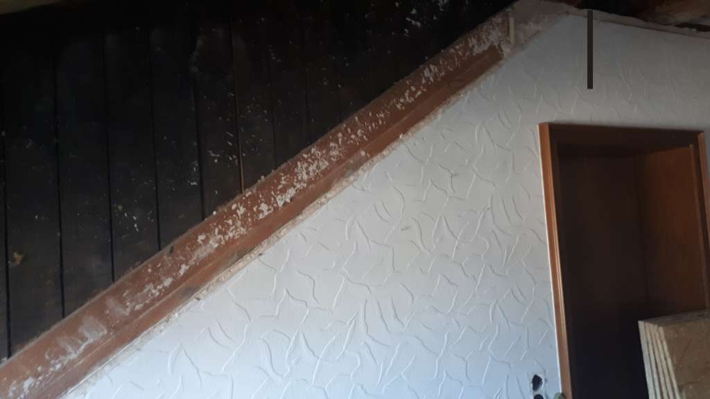 BAU.DE / BAU-Forum: 1. Bild zu Frage "Anbringung Dampfbremse an Gaube" im BAU-Forum "Dach" BAU.DE / BAU-Forum: 1. Bild zu Frage "Anbringung Dampfbremse an Gaube" im BAU-Forum "Dach"