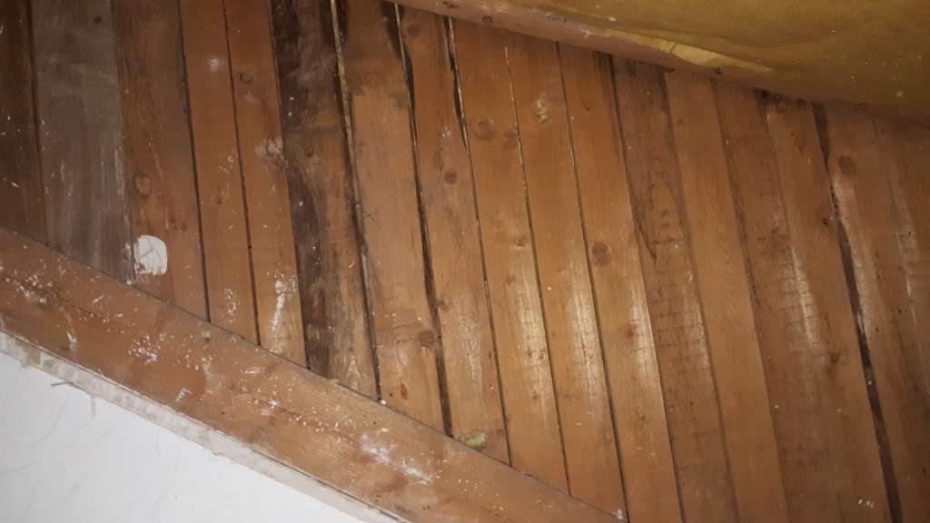 BAU.DE / BAU-Forum: 2. Bild zu Frage "Anbringung Dampfbremse an Gaube" im BAU-Forum "Dach" BAU.DE / BAU-Forum: 2. Bild zu Frage "Anbringung Dampfbremse an Gaube" im BAU-Forum "Dach"