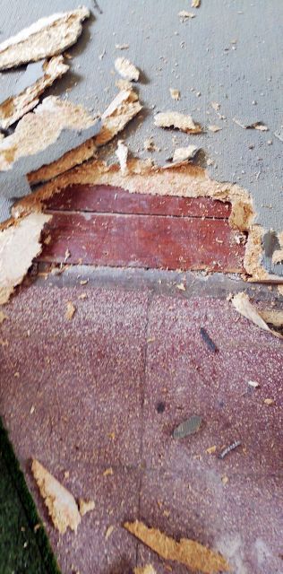 BAU.DE / BAU-Forum: 1. Bild zu Frage "MDF-Platten unter Teppich entfernen: Methoden, Werkzeug & Risiken für den Holzboden" im BAU-Forum "Estrich und Bodenbeläge" BAU.DE / BAU-Forum: 1. Bild zu Frage "MDF-Platten unter Teppich entfernen: Methoden, Werkzeug & Risiken für den Holzboden" im BAU-Forum "Estrich und Bodenbeläge"