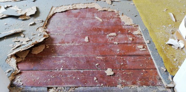 BAU.DE / BAU-Forum: 2. Bild zu Frage "MDF-Platten unter Teppich entfernen: Methoden, Werkzeug & Risiken für den Holzboden" im BAU-Forum "Estrich und Bodenbeläge" BAU.DE / BAU-Forum: 2. Bild zu Frage "MDF-Platten unter Teppich entfernen: Methoden, Werkzeug & Risiken für den Holzboden" im BAU-Forum "Estrich und Bodenbeläge"