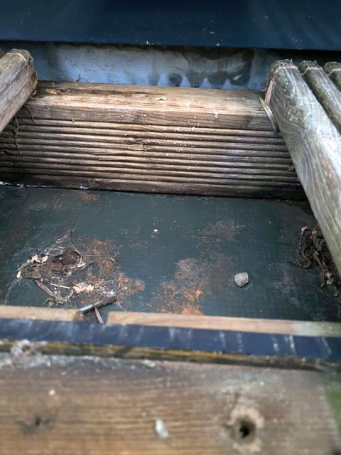 BAU.DE / BAU-Forum: 2. Bild zu Antwort "Wasserschaden: Ursache – Undichte Dichtung am Alu-Fensterrahmen" auf die Frage "Holz-Alu-Fenster: Undichte Dichtung reparieren – Ursachen, Kosten & DIY-Anleitung?" im BAU-Forum "Fenster und Außentüren" BAU.DE / BAU-Forum: 2. Bild zu Antwort "Wasserschaden: Ursache – Undichte Dichtung am Alu-Fensterrahmen" auf die Frage "Holz-Alu-Fenster: Undichte Dichtung reparieren – Ursachen, Kosten & DIY-Anleitung?" im BAU-Forum "Fenster und Außentüren"