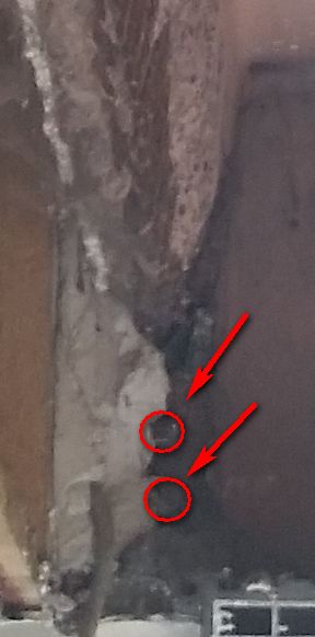 BAU.DE / BAU-Forum: 3. Bild zu Frage "Rollladensturz geschwächt: Tragfähigkeit prüfen? Kosten für Sanierung & Risiken" im BAU-Forum "Fenster und Außentüren" BAU.DE / BAU-Forum: 3. Bild zu Frage "Rollladensturz geschwächt: Tragfähigkeit prüfen? Kosten für Sanierung & Risiken" im BAU-Forum "Fenster und Außentüren"
