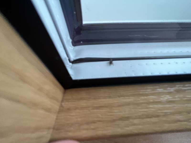 BAU.DE / BAU-Forum: 4. Bild zu Frage "Fensteraustausch mangelhaft: Rechte, Nachbesserung & Minderung der Rechnung?" im BAU-Forum "Fenster und Außentüren" BAU.DE / BAU-Forum: 4. Bild zu Frage "Fensteraustausch mangelhaft: Rechte, Nachbesserung & Minderung der Rechnung?" im BAU-Forum "Fenster und Außentüren"