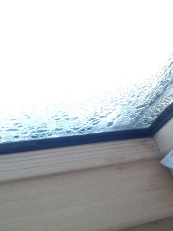 BAU.DE / BAU-Forum: 1. Bild zu Frage "Roto Dachfenster Schwitzwasser im Fertighaus (2009): Ursachen, Lösungen & Erfahrungsaustausch?" im BAU-Forum "Fertighaus" BAU.DE / BAU-Forum: 1. Bild zu Frage "Roto Dachfenster Schwitzwasser im Fertighaus (2009): Ursachen, Lösungen & Erfahrungsaustausch?" im BAU-Forum "Fertighaus"