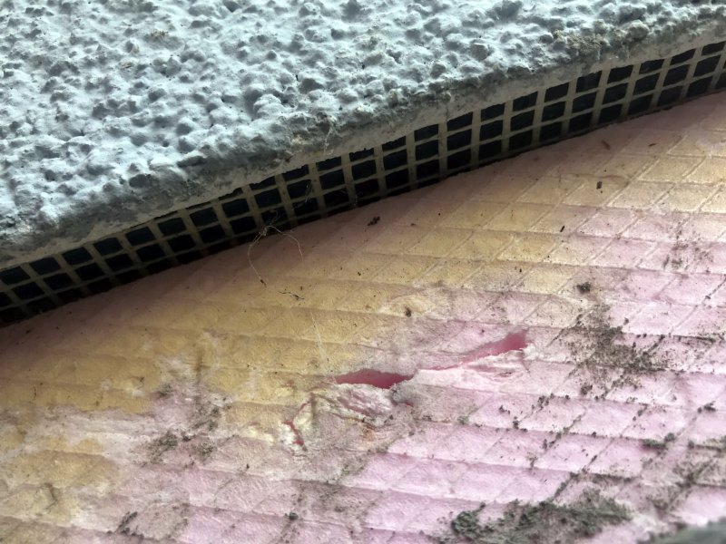 BAU.DE / BAU-Forum: 2. Bild zu Frage "Feuchtigkeit im Sockelbereich: Ursachen, Risiken & Lösungen für Fertighaus-Außenwand?" im BAU-Forum "Fertighaus" BAU.DE / BAU-Forum: 2. Bild zu Frage "Feuchtigkeit im Sockelbereich: Ursachen, Risiken & Lösungen für Fertighaus-Außenwand?" im BAU-Forum "Fertighaus"