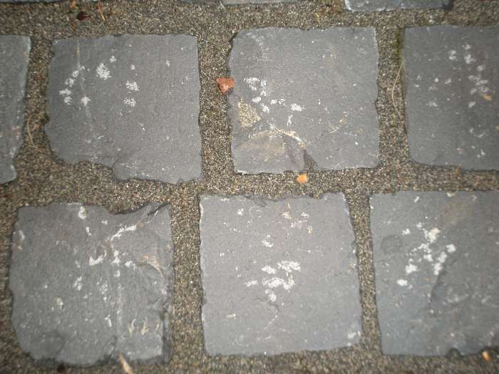 BAU.DE / BAU-Forum: 1. Bild zu Antwort "Basaltpflaster: Foto zeigt Hammerspuren trotz guter Verlegung" auf die Frage "Basaltpflaster verlegen: Hammerspuren vermeiden – Ursachen, Werkzeug & Profi-Tipps" im BAU-Forum "Rund um den Garten" BAU.DE / BAU-Forum: 1. Bild zu Antwort "Basaltpflaster: Foto zeigt Hammerspuren trotz guter Verlegung" auf die Frage "Basaltpflaster verlegen: Hammerspuren vermeiden – Ursachen, Werkzeug & Profi-Tipps" im BAU-Forum "Rund um den Garten"