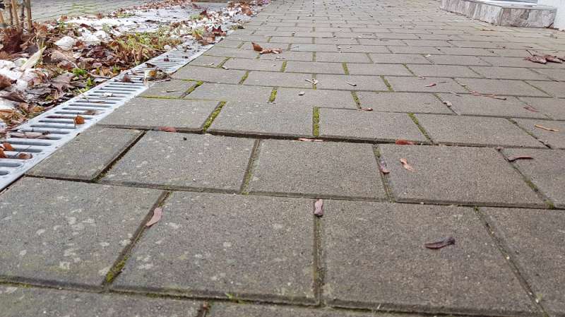 BAU.DE / BAU-Forum: 2. Bild zu Antwort "Gehweg-Analyse: Fotos bestätigen Frostschäden an Pflastersteinen" auf die Frage "Pflastersteine uneben: Ursachenforschung & Risikobewertung für Gehwegschäden?" im BAU-Forum "Rund um den Garten" BAU.DE / BAU-Forum: 2. Bild zu Antwort "Gehweg-Analyse: Fotos bestätigen Frostschäden an Pflastersteinen" auf die Frage "Pflastersteine uneben: Ursachenforschung & Risikobewertung für Gehwegschäden?" im BAU-Forum "Rund um den Garten"