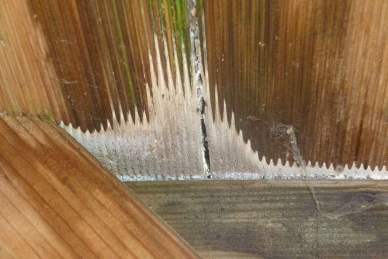 BAU.DE / BAU-Forum: 2. Bild zu Frage "Pilzbefall im Spielhaus: Ursachen, Gefahren & Sanierung bei Kesseldruckimprägnierung?" im BAU-Forum "Holzbau" BAU.DE / BAU-Forum: 2. Bild zu Frage "Pilzbefall im Spielhaus: Ursachen, Gefahren & Sanierung bei Kesseldruckimprägnierung?" im BAU-Forum "Holzbau"