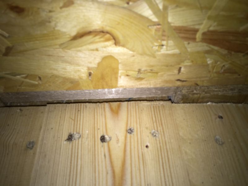 BAU.DE / BAU-Forum: 2. Bild zu Frage "OSB-Platten Stoßfugen abdichten bei Holzbalkendecke? Risiken & korrekte Ausführung" im BAU-Forum "Holzbau" BAU.DE / BAU-Forum: 2. Bild zu Frage "OSB-Platten Stoßfugen abdichten bei Holzbalkendecke? Risiken & korrekte Ausführung" im BAU-Forum "Holzbau"