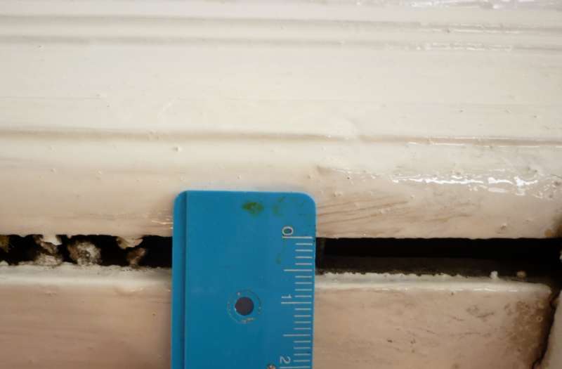 BAU.DE / BAU-Forum: 2. Bild zu Frage "Türzarge im Altbau restaurieren: Spalt reparieren – Anleitung & Tipps" im BAU-Forum "Holzschutz, Holzschäden, Holzsanierung" BAU.DE / BAU-Forum: 2. Bild zu Frage "Türzarge im Altbau restaurieren: Spalt reparieren – Anleitung & Tipps" im BAU-Forum "Holzschutz, Holzschäden, Holzsanierung"