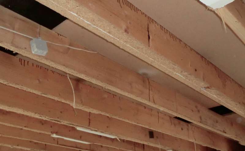 BAU.DE / BAU-Forum: 1. Bild zu Antwort "Spanplattenreste: Test mit Elektrohobel geplant" auf die Frage "Spanplattenreste entfernen: Methoden, Werkzeuge & Risiken bei der Sanierung?" im BAU-Forum "Holzschutz, Holzschäden, Holzsanierung" BAU.DE / BAU-Forum: 1. Bild zu Antwort "Spanplattenreste: Test mit Elektrohobel geplant" auf die Frage "Spanplattenreste entfernen: Methoden, Werkzeuge & Risiken bei der Sanierung?" im BAU-Forum "Holzschutz, Holzschäden, Holzsanierung"