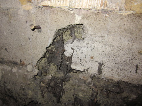 BAU.DE / BAU-Forum: 4. Bild zu Frage "Schwamm oder Pilz im Haus erkennen: Ursachen, Gefahren & Maßnahmen?" im BAU-Forum "Holzschutz, Holzschäden, Holzsanierung" BAU.DE / BAU-Forum: 4. Bild zu Frage "Schwamm oder Pilz im Haus erkennen: Ursachen, Gefahren & Maßnahmen?" im BAU-Forum "Holzschutz, Holzschäden, Holzsanierung"