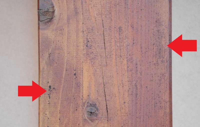 BAU.DE / BAU-Forum: 1. Bild zu Frage "Pilzbefall auf Holzterrasse erkennen & behandeln: Ursachen, Maßnahmen & Kosten?" im BAU-Forum "Holzschutz, Holzschäden, Holzsanierung" BAU.DE / BAU-Forum: 1. Bild zu Frage "Pilzbefall auf Holzterrasse erkennen & behandeln: Ursachen, Maßnahmen & Kosten?" im BAU-Forum "Holzschutz, Holzschäden, Holzsanierung"
