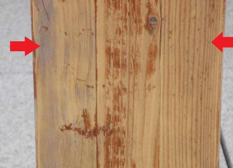 BAU.DE / BAU-Forum: 2. Bild zu Frage "Pilzbefall auf Holzterrasse erkennen & behandeln: Ursachen, Maßnahmen & Kosten?" im BAU-Forum "Holzschutz, Holzschäden, Holzsanierung" BAU.DE / BAU-Forum: 2. Bild zu Frage "Pilzbefall auf Holzterrasse erkennen & behandeln: Ursachen, Maßnahmen & Kosten?" im BAU-Forum "Holzschutz, Holzschäden, Holzsanierung"
