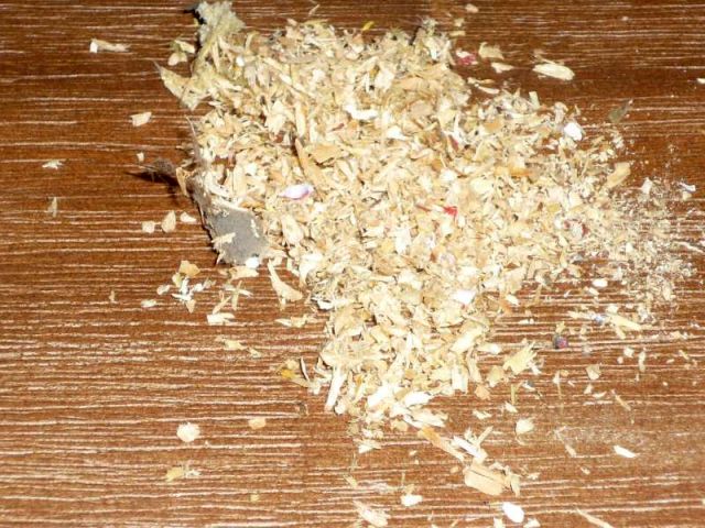 BAU.DE / BAU-Forum: 2. Bild zu Frage "Holzbalkendecke beschädigt: Ursachen für Holzspäne, Schädlingsbefall & Sanierung?" im BAU-Forum "Holzschutz, Holzschäden, Holzsanierung" BAU.DE / BAU-Forum: 2. Bild zu Frage "Holzbalkendecke beschädigt: Ursachen für Holzspäne, Schädlingsbefall & Sanierung?" im BAU-Forum "Holzschutz, Holzschäden, Holzsanierung"