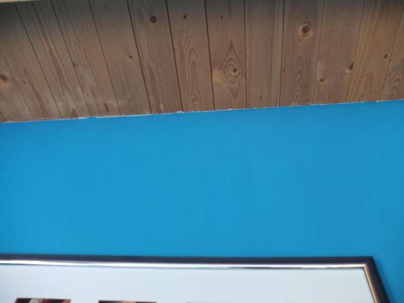 BAU.DE / BAU-Forum: 4. Bild zu Frage "Holzspäne & schwarze Kügelchen im Schlafzimmer: Ursachenforschung & Schädlingsbekämpfung?" im BAU-Forum "Holzschutz, Holzschäden, Holzsanierung" BAU.DE / BAU-Forum: 4. Bild zu Frage "Holzspäne & schwarze Kügelchen im Schlafzimmer: Ursachenforschung & Schädlingsbekämpfung?" im BAU-Forum "Holzschutz, Holzschäden, Holzsanierung"
