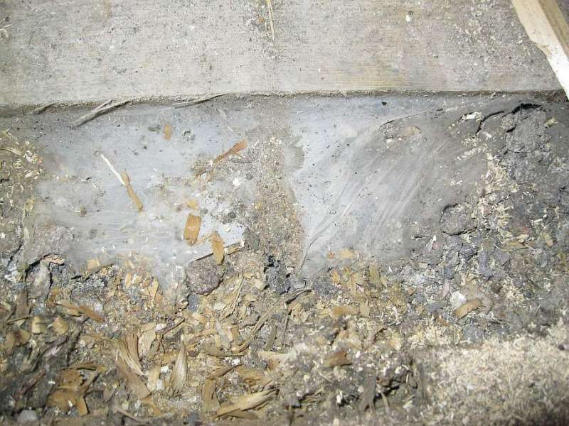 BAU.DE / BAU-Forum: 2. Bild zu Frage "Hausschwamm oder Schädling unter Dielen? Erkennung, Risiken & Sofortmaßnahmen" im BAU-Forum "Holzschutz, Holzschäden, Holzsanierung" BAU.DE / BAU-Forum: 2. Bild zu Frage "Hausschwamm oder Schädling unter Dielen? Erkennung, Risiken & Sofortmaßnahmen" im BAU-Forum "Holzschutz, Holzschäden, Holzsanierung"