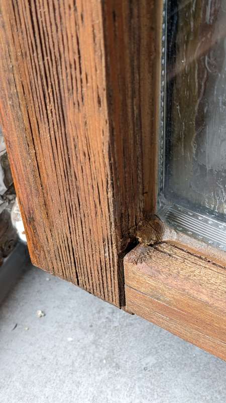 BAU.DE / BAU-Forum: 3. Bild zu Frage "Holzfenster Sanierung: Grobporiges Holz, Anstrich – Ist die Ausführung in Ordnung?" im BAU-Forum "Holzschutz, Holzschäden, Holzsanierung" BAU.DE / BAU-Forum: 3. Bild zu Frage "Holzfenster Sanierung: Grobporiges Holz, Anstrich – Ist die Ausführung in Ordnung?" im BAU-Forum "Holzschutz, Holzschäden, Holzsanierung"