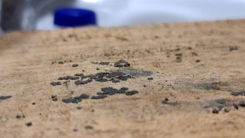 BAU.DE / BAU-Forum: 5. Bild zu Frage "Geruch und Verfärbung Holzdiele" im Forum "Holzschutz, Holzschäden, Holzsanierung" BAU.DE / BAU-Forum: 5. Bild zu Frage "Geruch und Verfärbung Holzdiele" im Forum "Holzschutz, Holzschäden, Holzsanierung"