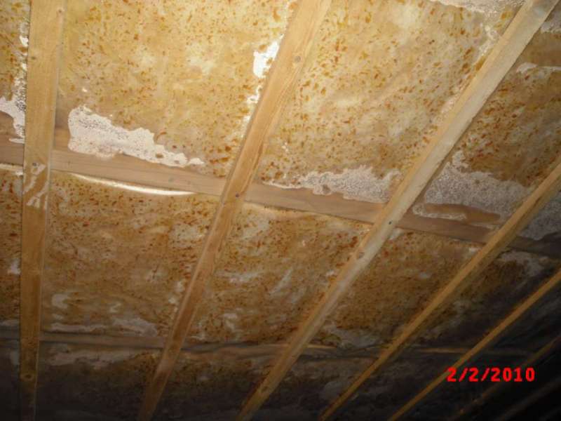 BAU.DE / BAU-Forum: 1. Bild zu Antwort "Feuchtigkeit Kellerdecke: Bilder zur Schadensanalyse" auf die Frage "Feuchtigkeit in Kellerdeckendämmung: Ursachen, Folgen & Sanierung bei Glasfaserwolle?" im BAU-Forum "Innenwände" BAU.DE / BAU-Forum: 1. Bild zu Antwort "Feuchtigkeit Kellerdecke: Bilder zur Schadensanalyse" auf die Frage "Feuchtigkeit in Kellerdeckendämmung: Ursachen, Folgen & Sanierung bei Glasfaserwolle?" im BAU-Forum "Innenwände"