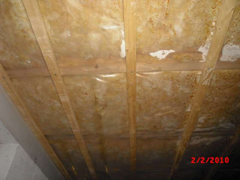 BAU.DE / BAU-Forum: 2. Bild zu Antwort "Feuchtigkeit Kellerdecke: Bilder zur Schadensanalyse" auf die Frage "Feuchtigkeit in Kellerdeckendämmung: Ursachen, Folgen & Sanierung bei Glasfaserwolle?" im BAU-Forum "Innenwände" BAU.DE / BAU-Forum: 2. Bild zu Antwort "Feuchtigkeit Kellerdecke: Bilder zur Schadensanalyse" auf die Frage "Feuchtigkeit in Kellerdeckendämmung: Ursachen, Folgen & Sanierung bei Glasfaserwolle?" im BAU-Forum "Innenwände"