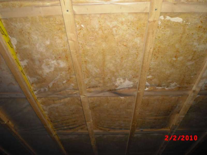 BAU.DE / BAU-Forum: 5. Bild zu Antwort "Feuchtigkeit Kellerdecke: Bilder zur Schadensanalyse" auf die Frage "Feuchtigkeit in Kellerdeckendämmung: Ursachen, Folgen & Sanierung bei Glasfaserwolle?" im BAU-Forum "Innenwände" BAU.DE / BAU-Forum: 5. Bild zu Antwort "Feuchtigkeit Kellerdecke: Bilder zur Schadensanalyse" auf die Frage "Feuchtigkeit in Kellerdeckendämmung: Ursachen, Folgen & Sanierung bei Glasfaserwolle?" im BAU-Forum "Innenwände"