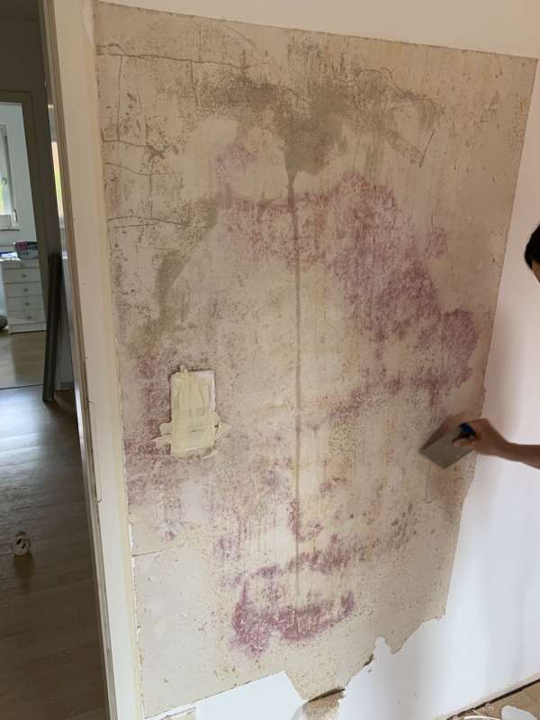 BAU.DE / BAU-Forum: 1. Bild zu Frage "Roter Schimmel hinter Tapete? Ursachen, Gefahren & Fachhilfe bei rötlichen Flecken" im BAU-Forum "Innenwände" BAU.DE / BAU-Forum: 1. Bild zu Frage "Roter Schimmel hinter Tapete? Ursachen, Gefahren & Fachhilfe bei rötlichen Flecken" im BAU-Forum "Innenwände"