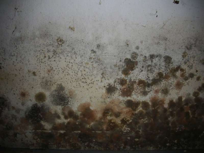 BAU.DE / BAU-Forum: 2. Bild zu Frage "Wasserortung in Garage: Ursachen für Wasserflecken auf Bodenplatte finden (NRW)" im BAU-Forum "Keller" BAU.DE / BAU-Forum: 2. Bild zu Frage "Wasserortung in Garage: Ursachen für Wasserflecken auf Bodenplatte finden (NRW)" im BAU-Forum "Keller"
