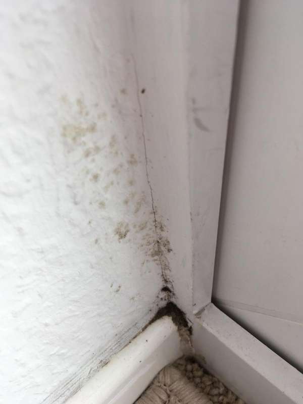 BAU.DE / BAU-Forum: 1. Bild zu Frage "Schimmel?" im BAU-Forum "Keller" BAU.DE / BAU-Forum: 1. Bild zu Frage "Schimmel?" im BAU-Forum "Keller"