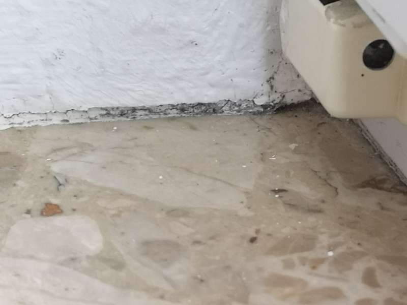 BAU.DE / BAU-Forum: 5. Bild zu Frage "Feuchtigkeit?" im BAU-Forum "Keller" BAU.DE / BAU-Forum: 5. Bild zu Frage "Feuchtigkeit?" im BAU-Forum "Keller"