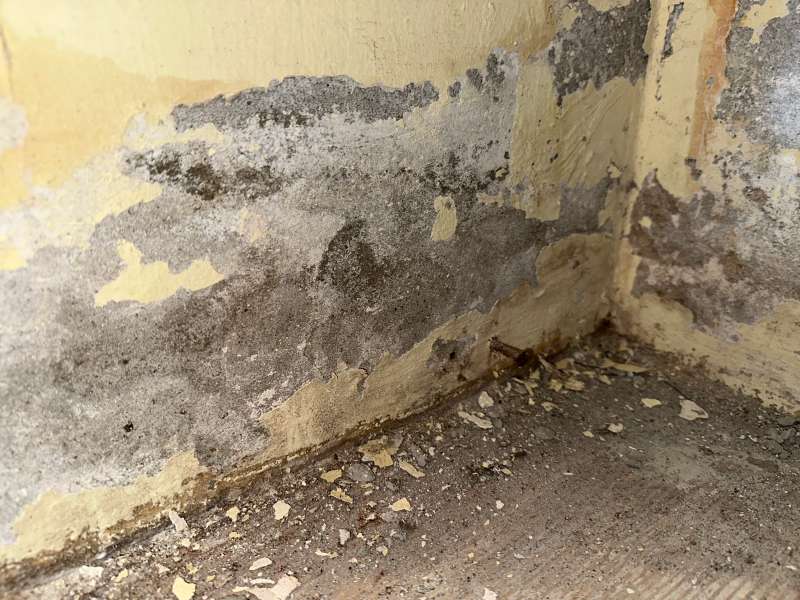 BAU.DE / BAU-Forum: 1. Bild zu Frage "Salzausblühungen im Keller unbehandelt lassen?" im BAU-Forum "Keller" BAU.DE / BAU-Forum: 1. Bild zu Frage "Salzausblühungen im Keller unbehandelt lassen?" im BAU-Forum "Keller"