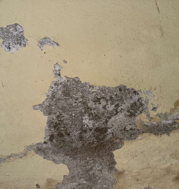 BAU.DE / BAU-Forum: 3. Bild zu Frage "Salzausblühungen im Keller unbehandelt lassen?" im BAU-Forum "Keller" BAU.DE / BAU-Forum: 3. Bild zu Frage "Salzausblühungen im Keller unbehandelt lassen?" im BAU-Forum "Keller"