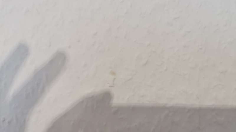 BAU.DE / BAU-Forum: 1. Bild zu Frage "Braune Flecken an der Wand" im BAU-Forum "Keller" BAU.DE / BAU-Forum: 1. Bild zu Frage "Braune Flecken an der Wand" im BAU-Forum "Keller"