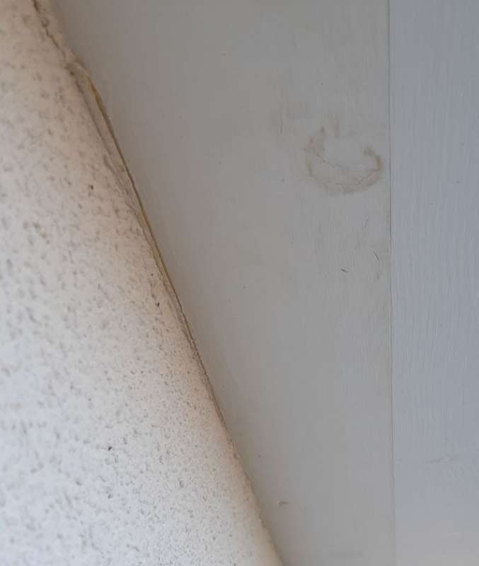 BAU.DE / BAU-Forum: 4. Bild zu Frage "Verfärbung Dachuntersicht: Ursachenforschung, Feuchtigkeit, Holzschutz & Sanierung?" im BAU-Forum "Neubau" BAU.DE / BAU-Forum: 4. Bild zu Frage "Verfärbung Dachuntersicht: Ursachenforschung, Feuchtigkeit, Holzschutz & Sanierung?" im BAU-Forum "Neubau"