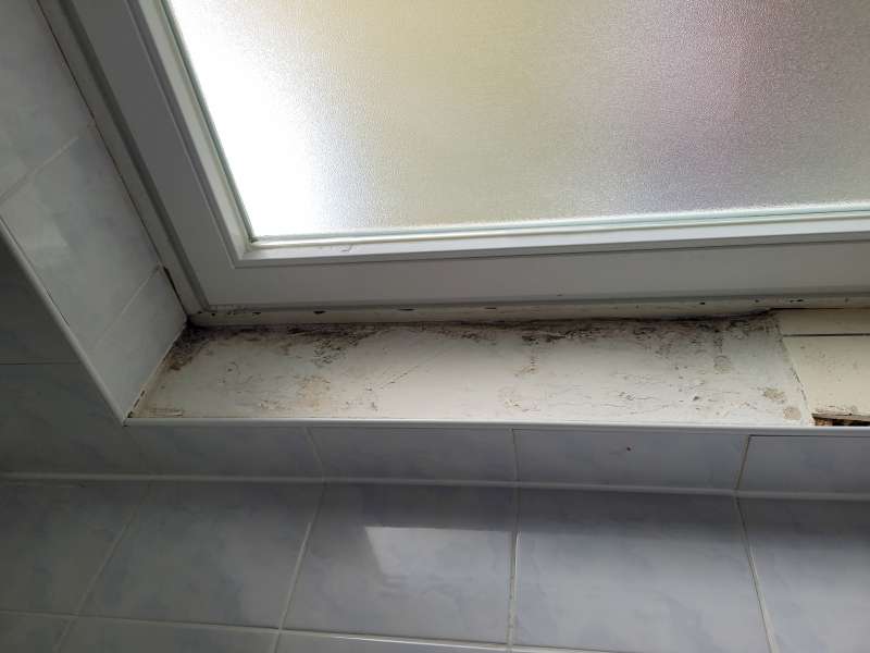 BAU.DE / BAU-Forum: 1. Bild zu Frage "Schimmel unter Fliesen - kann mir jemand eine Einschätzung geben?" im BAU-Forum "Sanitär, Bad, Dusche, WC" BAU.DE / BAU-Forum: 1. Bild zu Frage "Schimmel unter Fliesen - kann mir jemand eine Einschätzung geben?" im BAU-Forum "Sanitär, Bad, Dusche, WC"