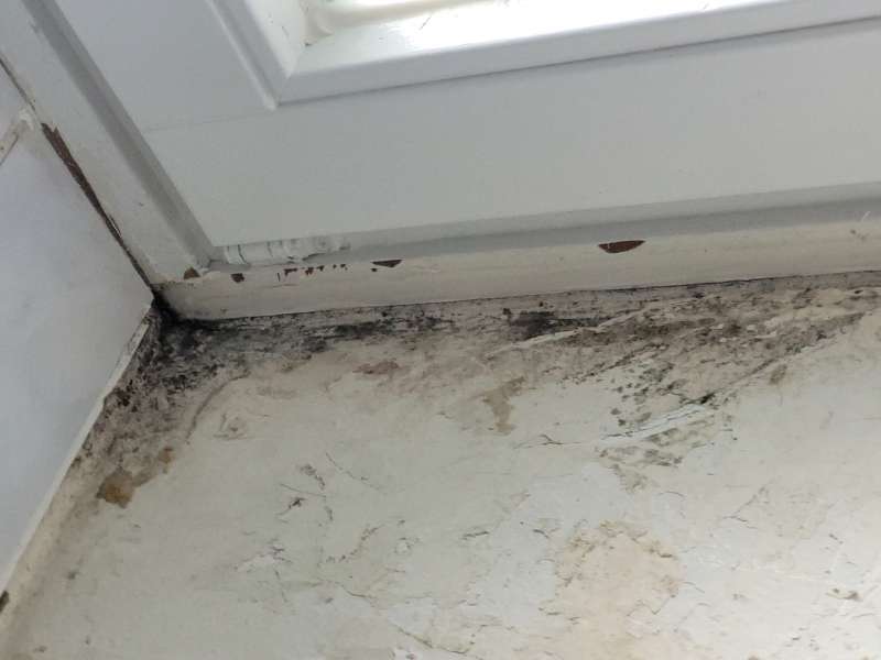 BAU.DE / BAU-Forum: 2. Bild zu Frage "Schimmel unter Fliesen - kann mir jemand eine Einschätzung geben?" im BAU-Forum "Sanitär, Bad, Dusche, WC" BAU.DE / BAU-Forum: 2. Bild zu Frage "Schimmel unter Fliesen - kann mir jemand eine Einschätzung geben?" im BAU-Forum "Sanitär, Bad, Dusche, WC"