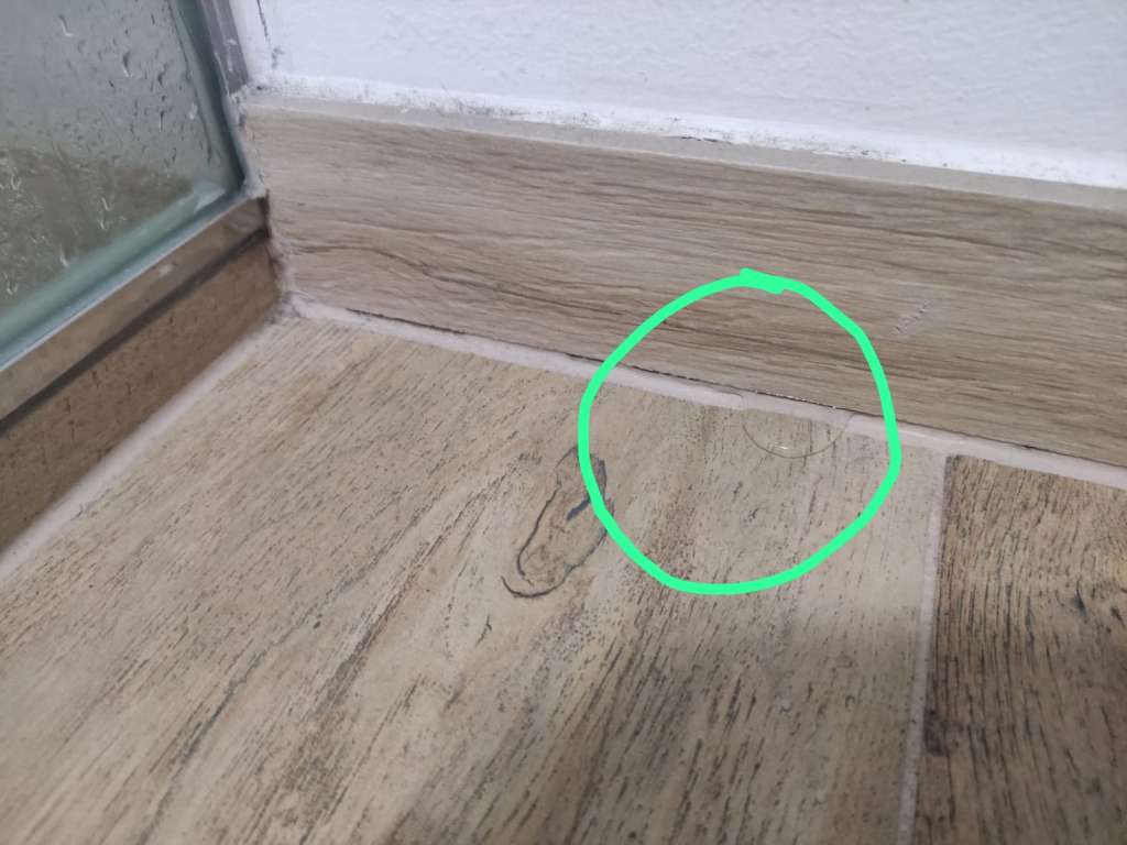 BAU.DE / BAU-Forum: 1. Bild zu Frage "Wasser neben Duschkabine" im BAU-Forum "Sanitär, Bad, Dusche, WC" BAU.DE / BAU-Forum: 1. Bild zu Frage "Wasser neben Duschkabine" im BAU-Forum "Sanitär, Bad, Dusche, WC"