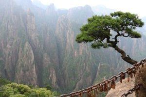 Der Charakter bezieht sich auf die Gesamtheit der individuellen Eigenschaften, Verhaltensweisen, Werte und Persönlichkeitsmerkmale, die eine Person ausmachen und sie von anderen unterscheiden. Der Charakter bezieht sich auf die Gesamtheit der individuellen Eigenschaften, Verhaltensweisen, Werte und Persönlichkeitsmerkmale, die eine Person ausmachen und sie von anderen unterscheiden.