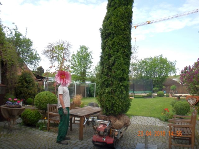 Bild: Pflasterarbeiten